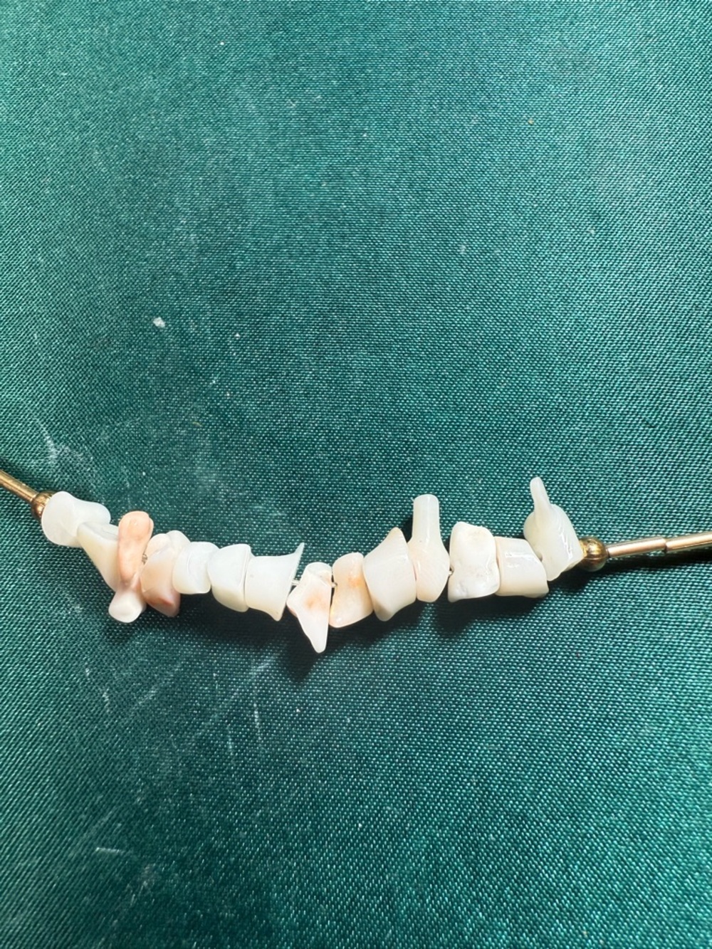 Delicate Choker Style Gold Tone Necklace with Cream Shell Chip Accents - Picture 5 of 6